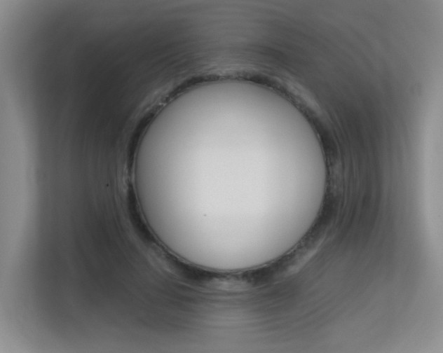 X0000113250644200909100943