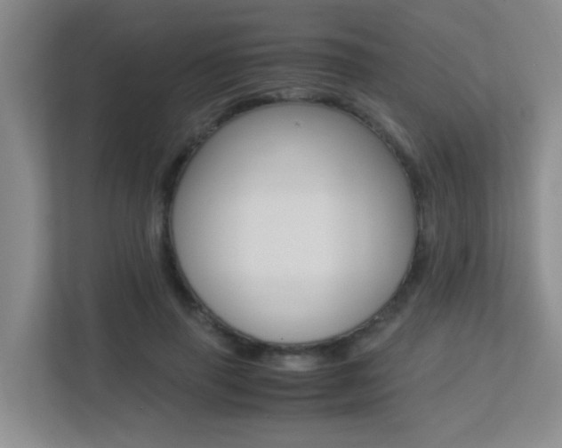 X0000113250645200909100943