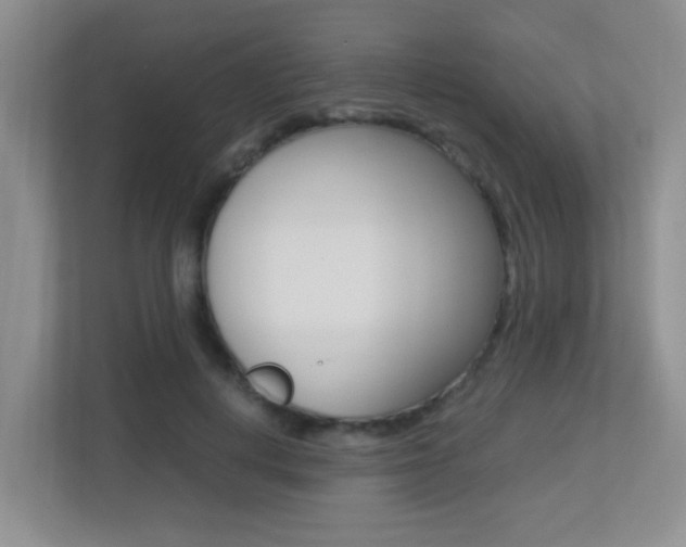 X0000113250648200909100943