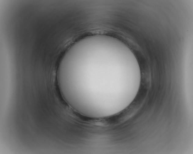 X0000113250652200909100944