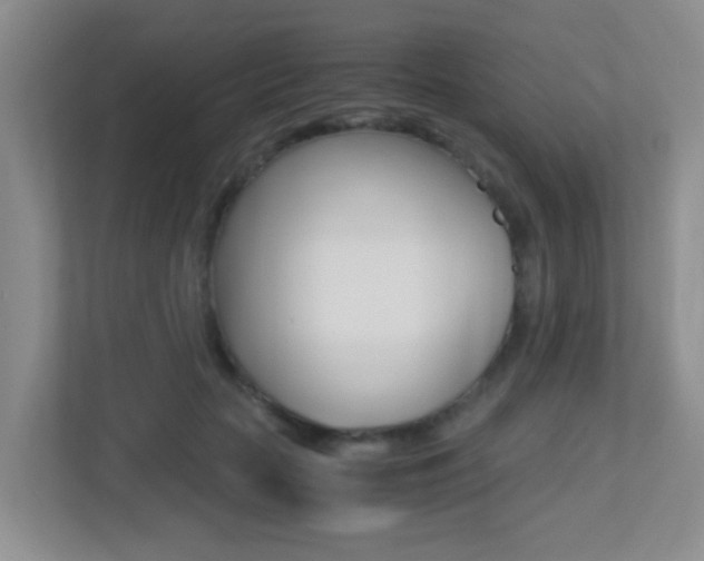 X0000113250653200909100944