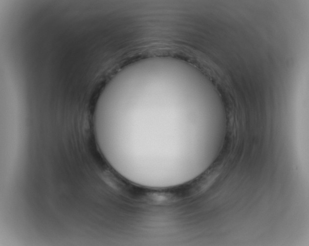 X0000113250654200909100944