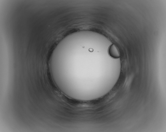 X0000113250655200909100944