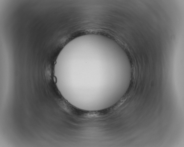 X0000113250668200909100944