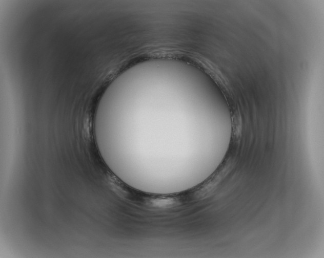 X0000113250669200909100944