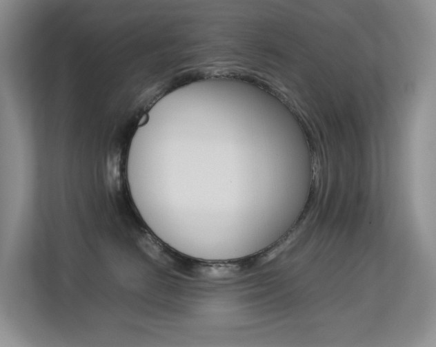 X0000113250670200909100944