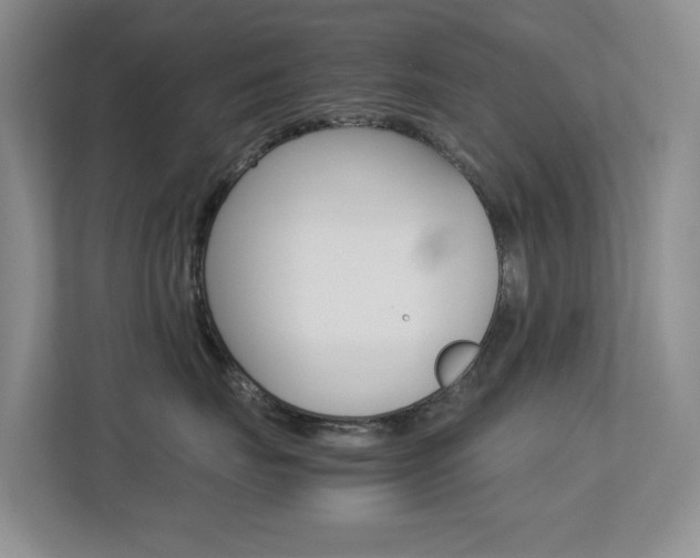 X0000113250671200909100944