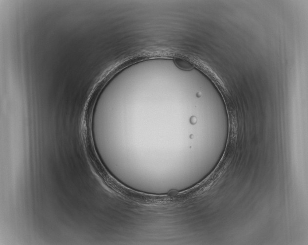 X0000113250674200909100943