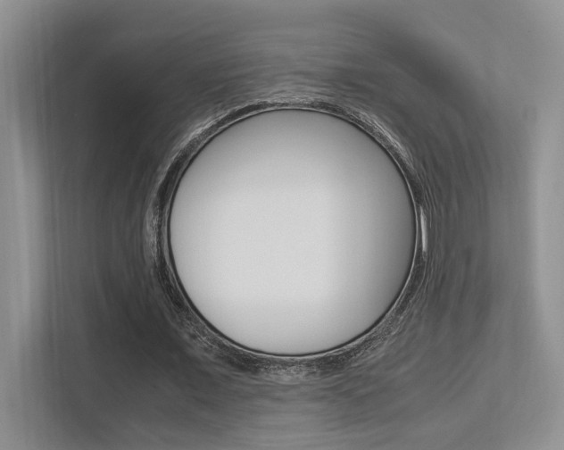 X0000113250675200909100943