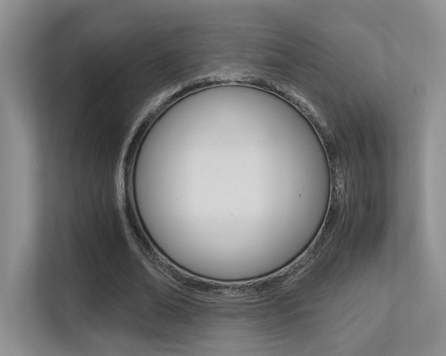 X0000113250678200909100943
