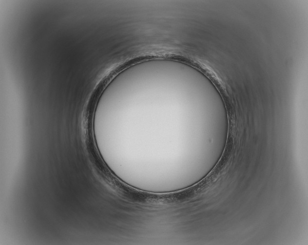 X0000113250679200909100943