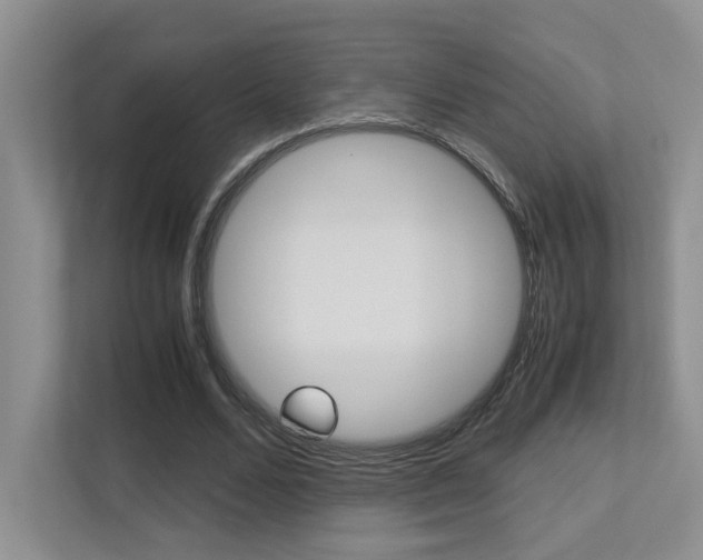 X0000113250680200909100943