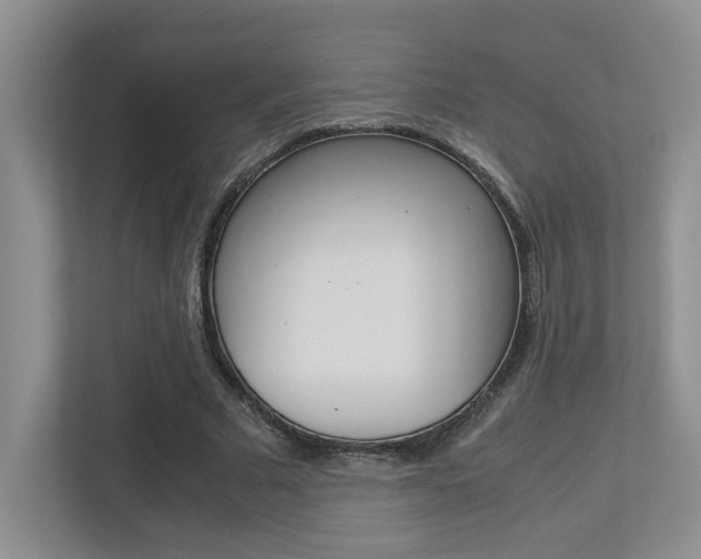 X0000113250681200909100943