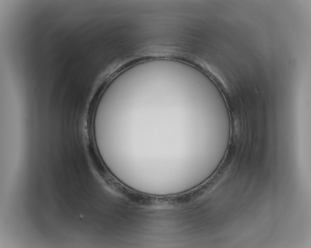 X0000113250682200909100943