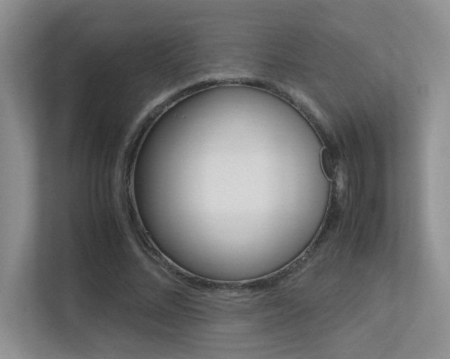 X0000113250684200909100943