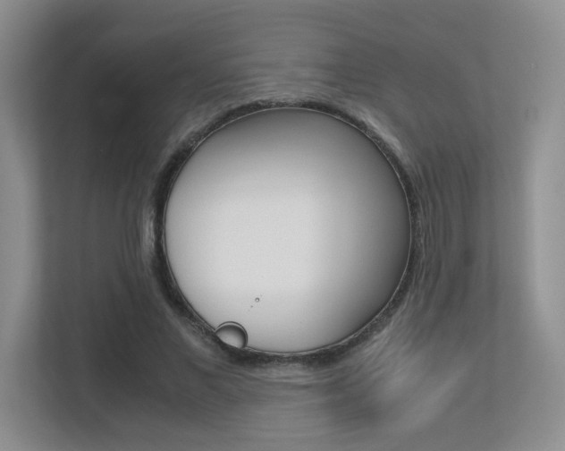 X0000113250685200909100943