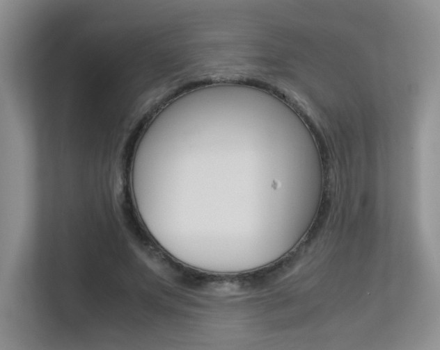 X0000113250687200909100943