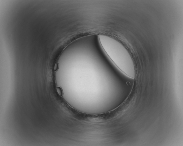 X0000113250689200909100943