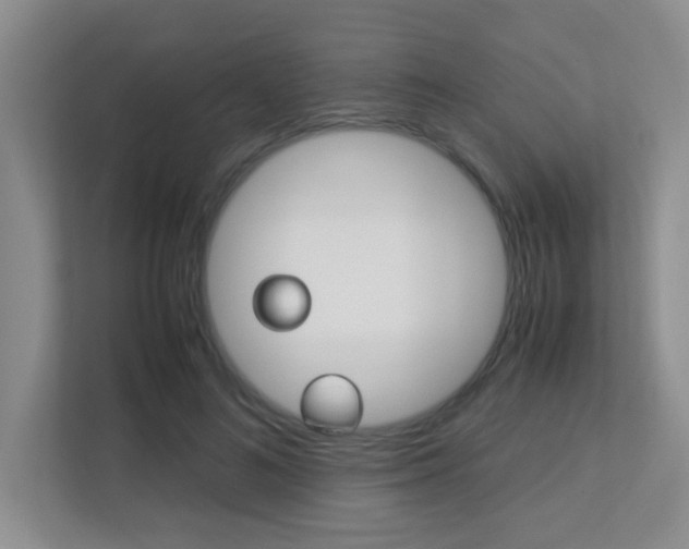 X0000113250692200909100943