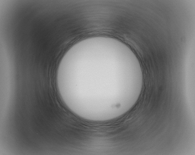 X0000113250693200909100943