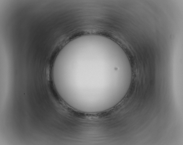 X0000113250694200909100943