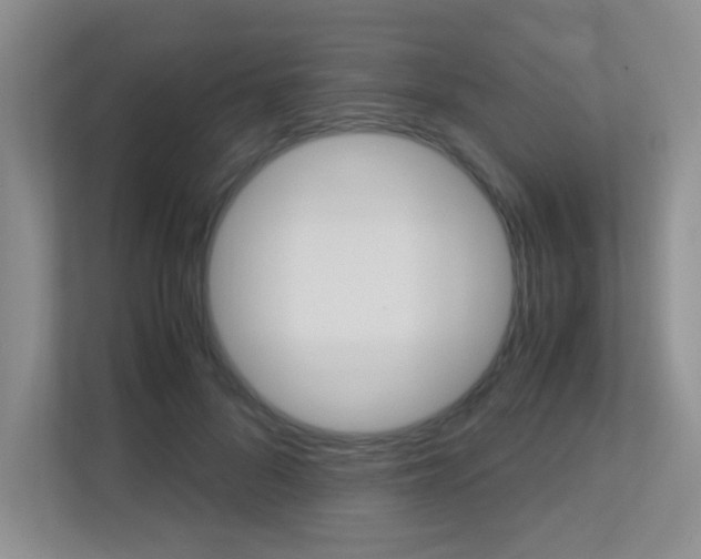 X0000113250696200909100943