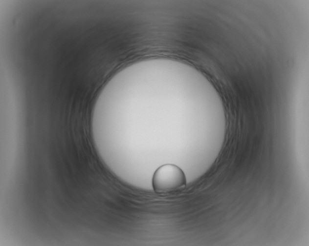 X0000113250700200909100943