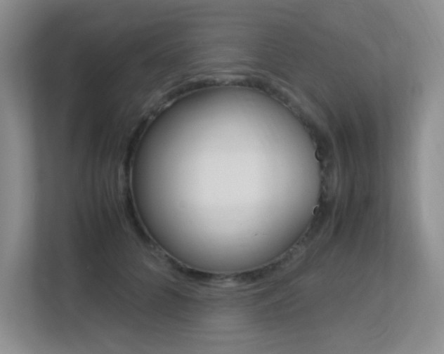 X0000113250704200909100943