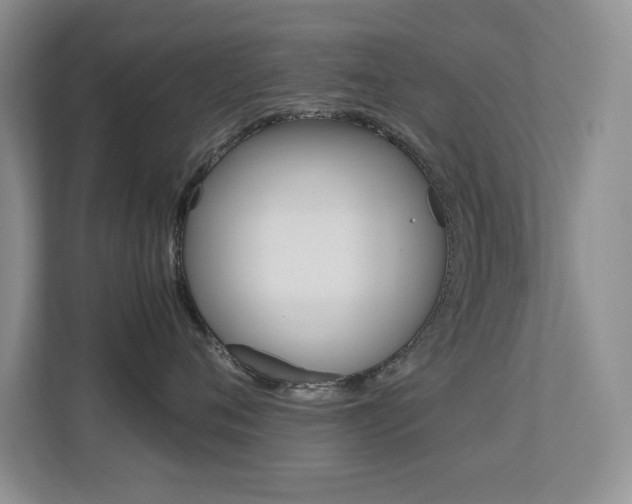 X0000113250720200909100943
