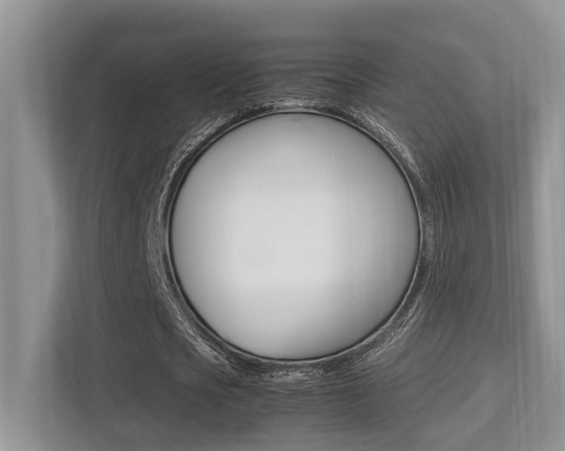 X0000113250721200909100942