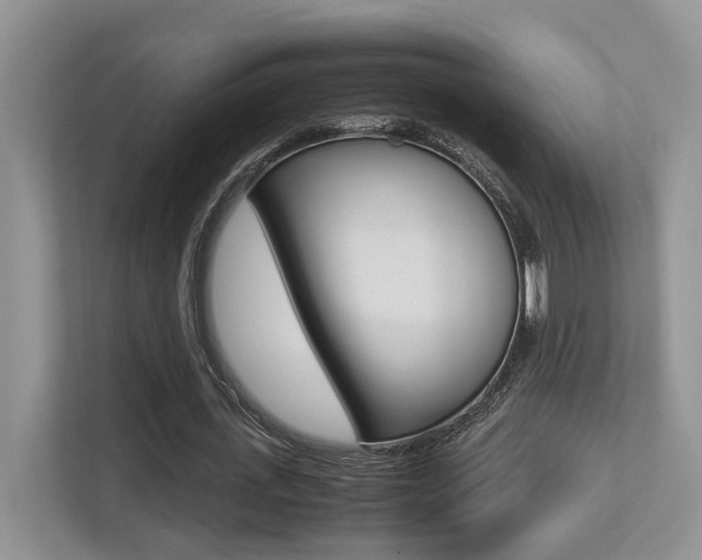 X0000113250723200909100942