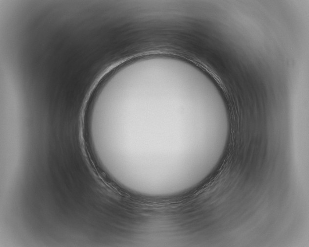 X0000113250724200909100942