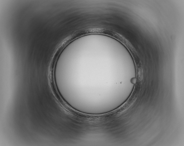 X0000113250725200909100942