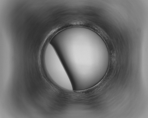 X0000113250727200909100942
