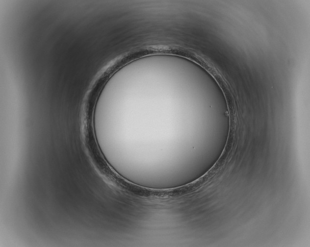 X0000113250728200909100942