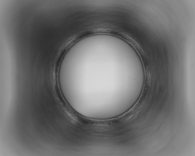 X0000113250729200909100942