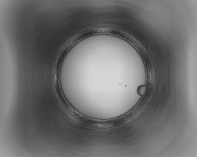 X0000113250733200909100942