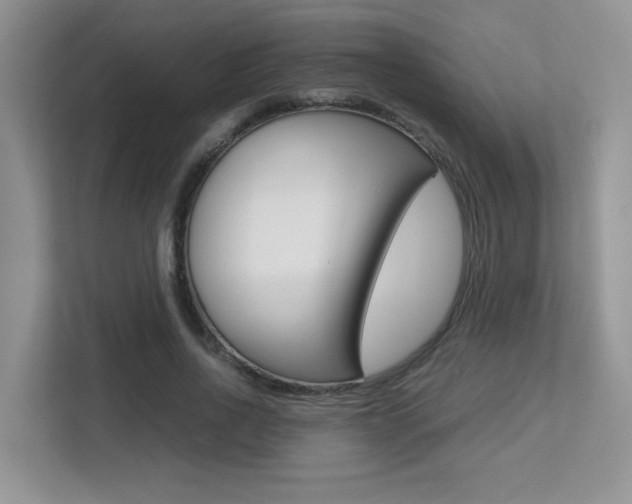 X0000113250734200909100942