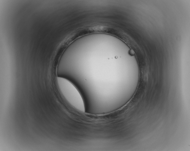 X0000113250735200909100942