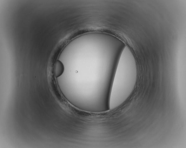 X0000113250736200909100942