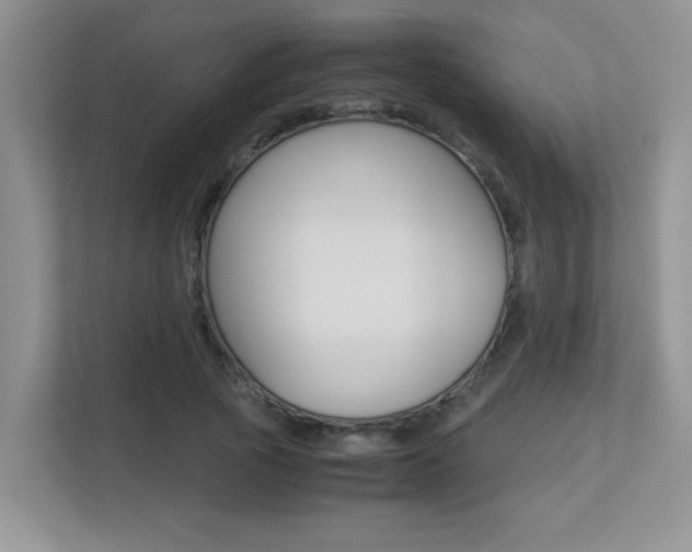 X0000113250737200909100942