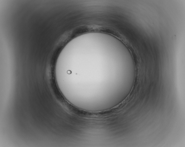 X0000113250738200909100942