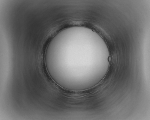 X0000113250739200909100942