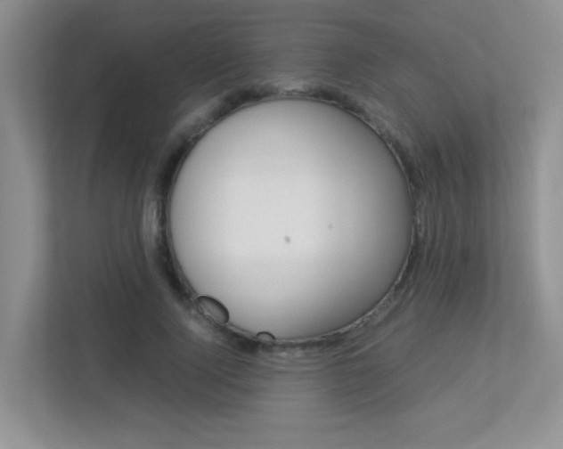X0000113250740200909100942