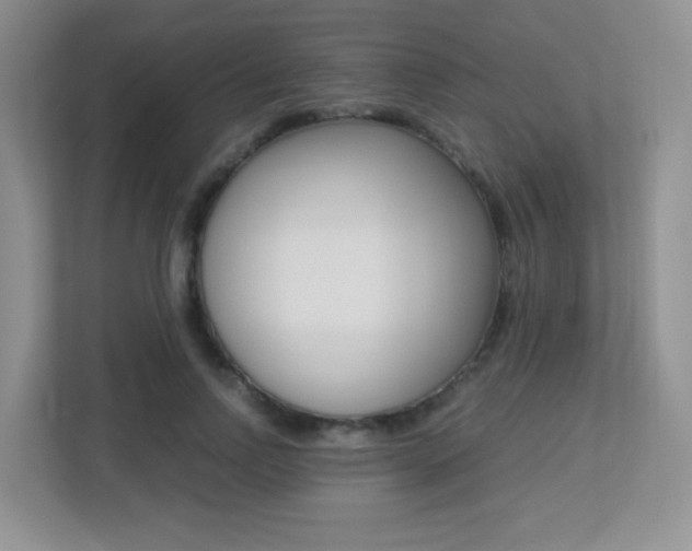 X0000113250742200909100942