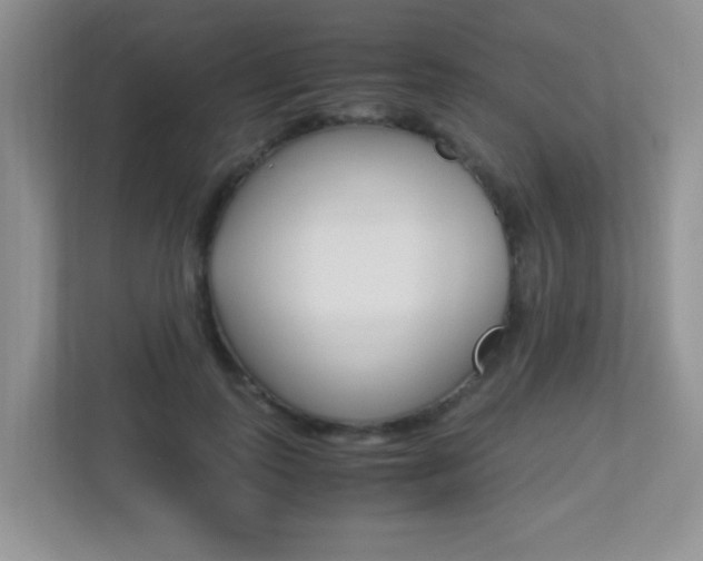 X0000113250747200909100942
