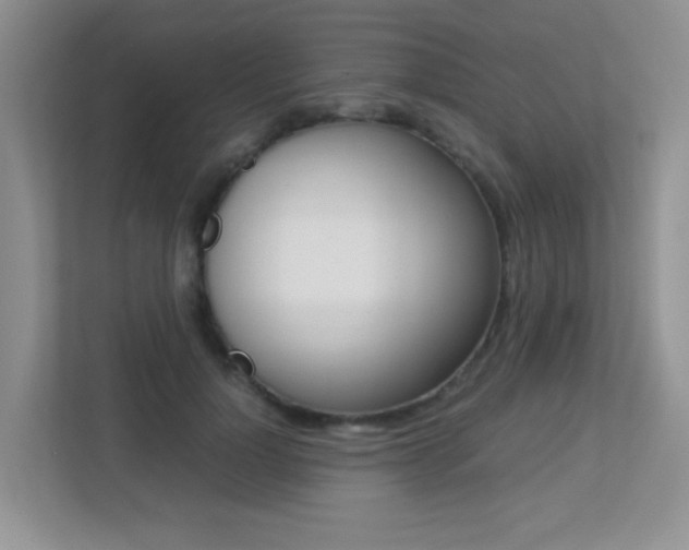 X0000113250748200909100942
