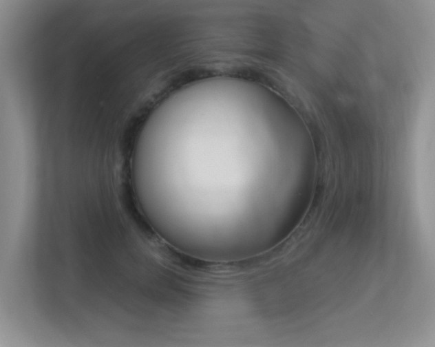 X0000113250750200909100942