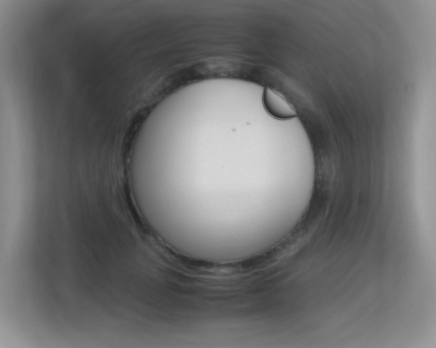 X0000113250751200909100942