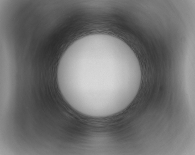 X0000113250752200909100942